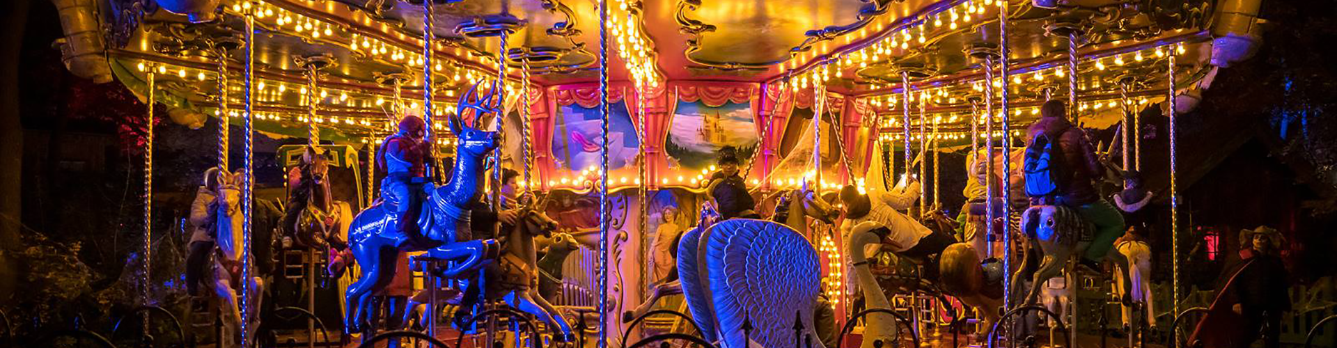 Fairy tail carousel